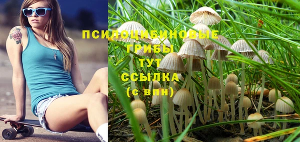 мяу мяу кристалл Инсар