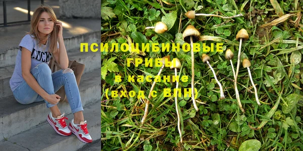 мяу мяу кристалл Инсар