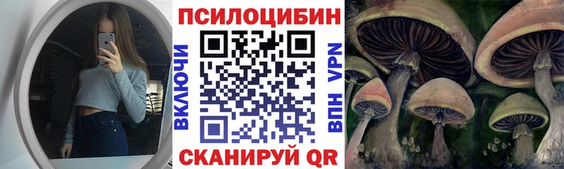 купить   Жуковский  Галлюциногенные грибы прущие грибы 
