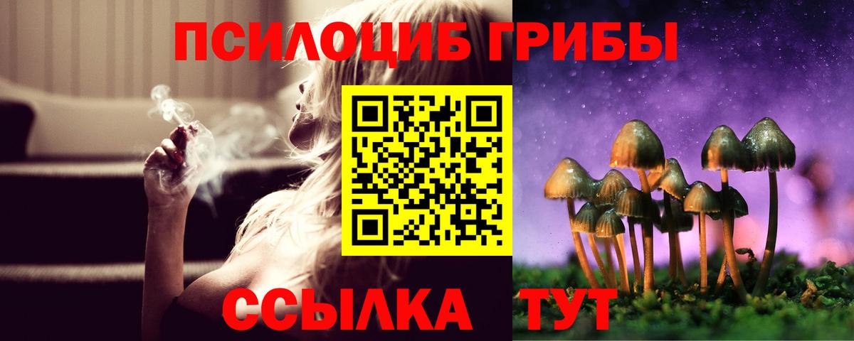 Псилоцибиновые грибы GOLDEN TEACHER Жуковский