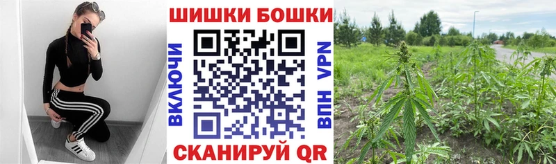 Бошки марихуана индика  МЕГА как зайти  Жуковский 